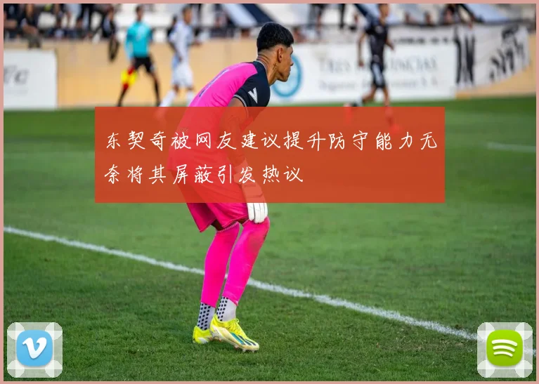 东契奇被网友建议提升防守能力无奈将其屏蔽引发热议