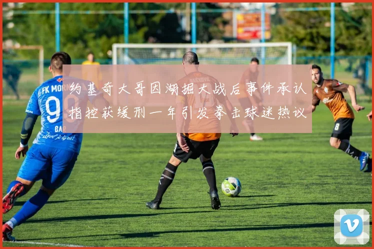 约基奇大哥因湖掘大战后事件承认指控获缓刑一年引发拳击球迷热议