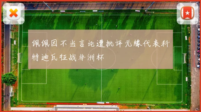 佩佩因不当言论遭批评无缘代表科特迪瓦征战非洲杯