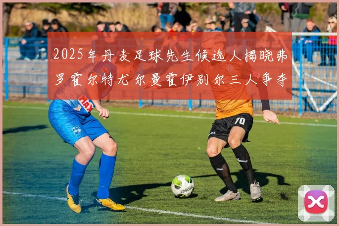 2025年丹麦足球先生候选人揭晓弗罗霍尔特尤尔曼霍伊别尔三人争夺荣耀