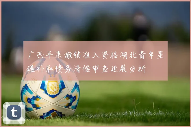 广西平果撤销准入资格湖北青年星递补和债务清偿审查进展分析