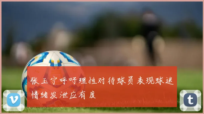 张玉宁呼吁理性对待球员表现球迷情绪发泄应有度