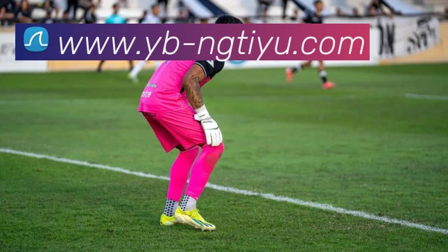 南宫体育发展历程