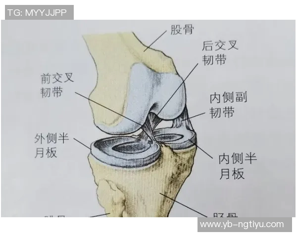 杜埃伤情乐观无需手术恢复时间预计为六到八周